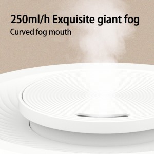 250ml/h Air Humidifier Essential Oil Diffuser For Home Car Bedroom Office Fogger for Disinfection