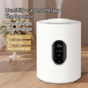 250ml/h Air Humidifier Essential Oil Diffuser For Home Car Bedroom Office Fogger for Disinfection