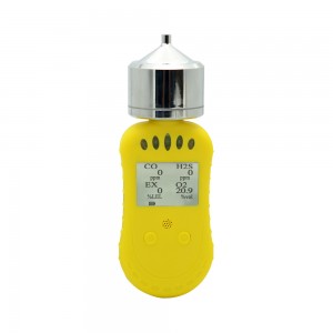 Portable Pump Multi Gas Alarming Detector