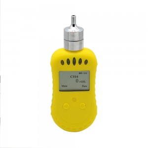 Portable Pump Single Gas Alarming Detector