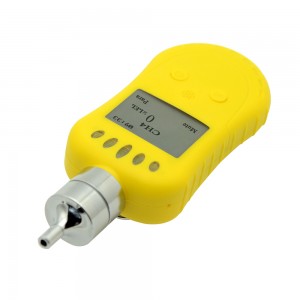 Portable Pump Single Gas Alarming Detector