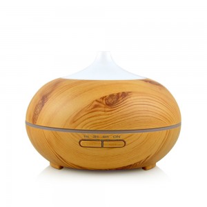 Portable Ultrasonic Atomization Fragrance Diffuser and Humidifier