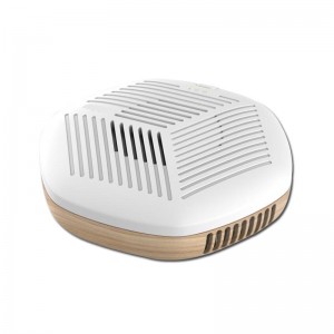 XD05 USB Charge Ozone Air Purifier with Large Lithium Battery