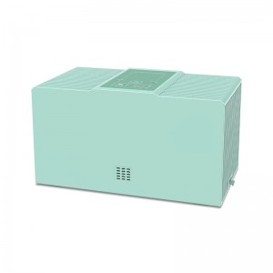 XD08 Portable Ozone Disinfection Machine Ceramic Ozone Generator with Two Filters